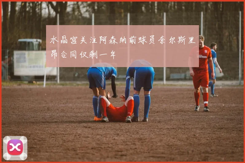 水晶宫关注阿森纳前球员奈尔斯里昂合同仅剩一年