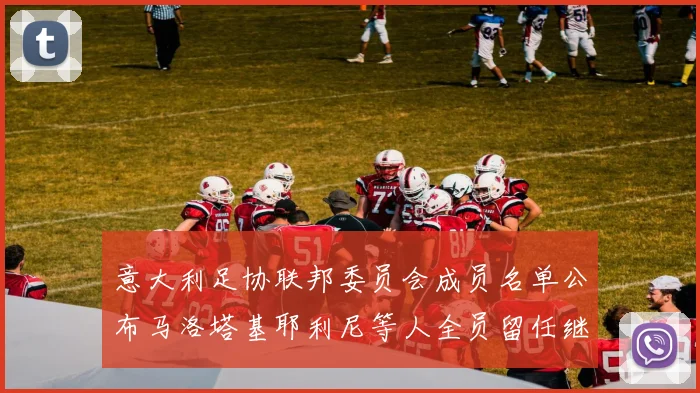 意大利足协联邦委员会成员名单公布马洛塔基耶利尼等人全员留任继续服务